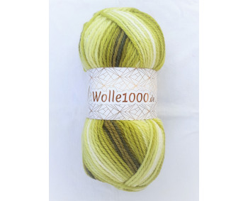 !NEU! Wolle1000 - Extra 200g - Farbe 03 grüntöne