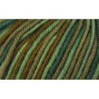 Fibra Natura Sensational - Merino Wolle - 50g - 40855 grün-oliv-töne