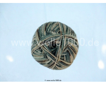 Farbe 130-02 - helle grautöne-natur - Himalaya Socks Bamboo Sockenwolle 100g