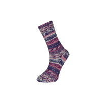 Farbe 49-01 - Himalaya Socks Sockenwolle 100g