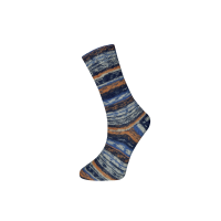 Farbe 49-04 - Himalaya Socks Sockenwolle 100g