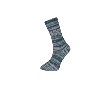 Farbe 49-06 - Himalaya Socks Sockenwolle 100g