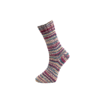 Farbe 60-03 - Himalaya Socks Sockenwolle 100g