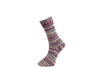 Farbe 60-03 - Himalaya Socks Sockenwolle 100g