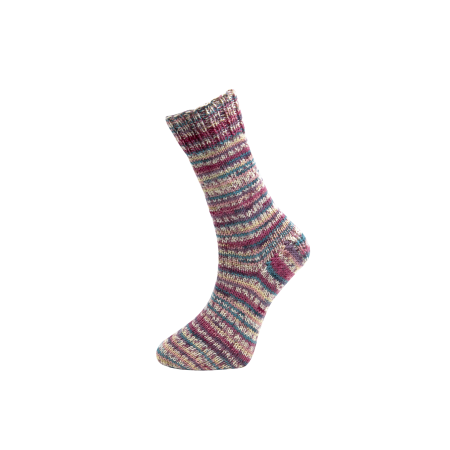 Farbe 60-03 - Himalaya Socks Sockenwolle 100g