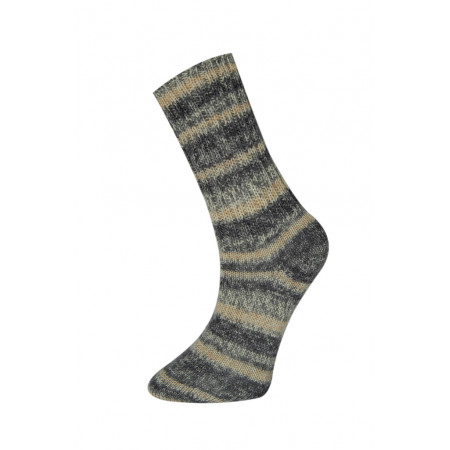 Farbe 170-02 - Himalaya Socks Sockenwolle 100g