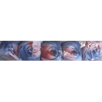 Sonderposten Banderolenfehler - 5 x 100g = 500g - Farbe 13