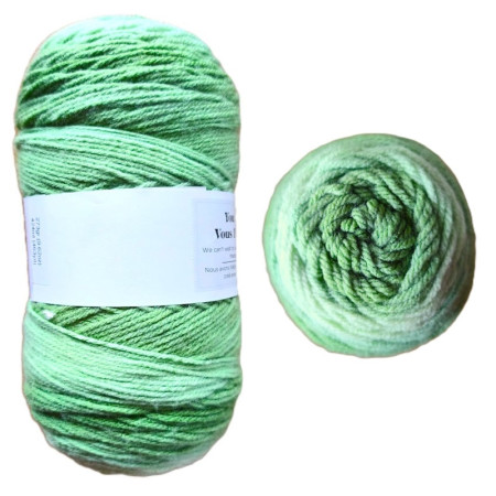 Ombre Grün - 273g / 424m - Sonderposten
