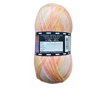 Twister Sox 4 Color - Sockenwolle 100g - Farbe 123