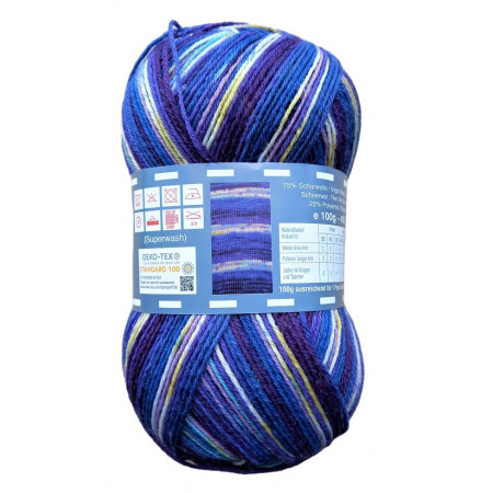 Twister Sox 4 Color - Sockenwolle 100g - Farbe 834