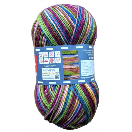 Twister Sox 4 Color - Sockenwolle 100g - Farbe 838