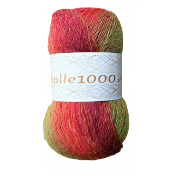 Wolle1000 - Rainbow Sox 4